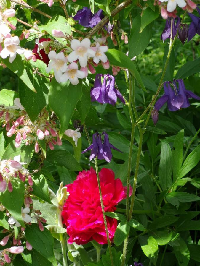 La Malinette B&B, Calme Et Authenticite Malain Luaran gambar